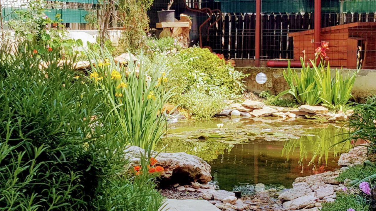Villa Sanitas 泰基尔吉奥尔 外观 照片