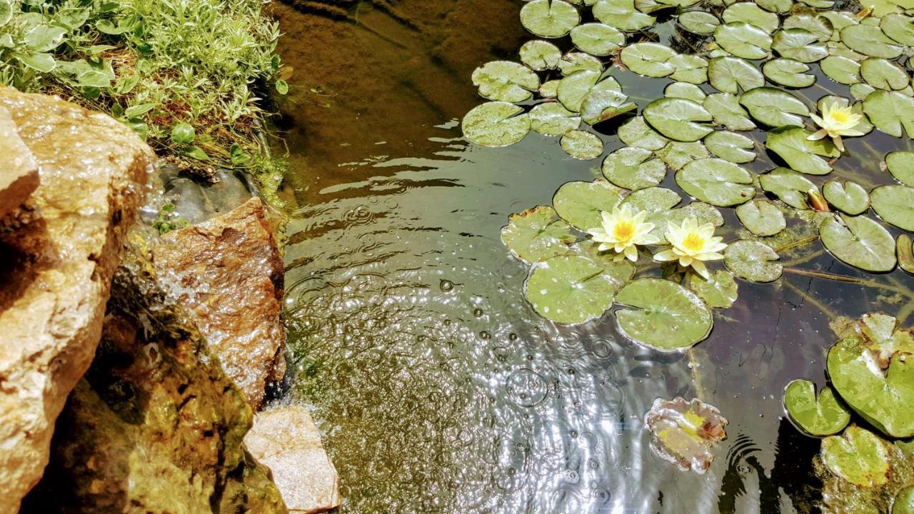 Villa Sanitas 泰基尔吉奥尔 外观 照片